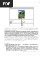 Formato Excusas Médicas