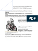 Fisiología del corazón