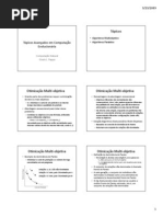 Computação Natural - Aula 08 - Tópicos Avançados em Computação Evolucionária 2.pdf