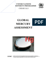 Global Mercury Assessment_final Assessment Report 25nov02
