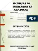 Industrias No Alimentarias en Amazonas 2