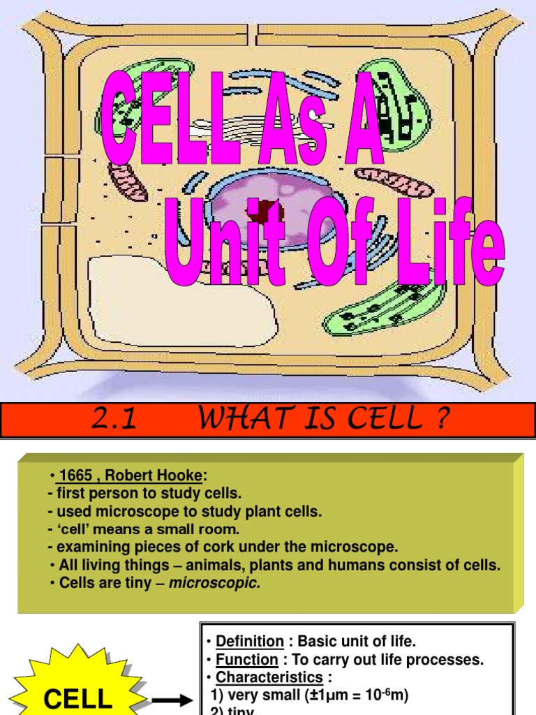 Chapter 2 Cell | Tissue (Biology) | Vacuole