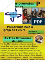 As Três Dimensões Do Lider