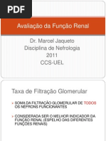 Aula+3+-+Função+Renal (1)