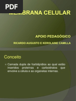 Membrana Celular