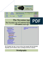 The Toyonian Age: Stratigraphy
