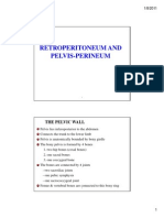 Retroperit. Pelvis & Perineum - PPT - Compatibility Mode