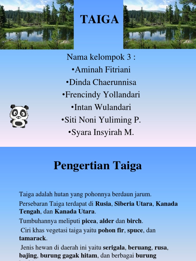 Taiga 1