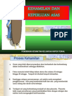 Kehamilan Dan Keperluan Asas