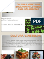 Cultura Vinetelor