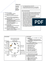 Forensic Entomology