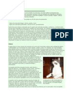 El Lenguaje de Los Gatos PDF