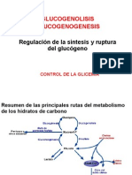 Regulacion Sint y Degradac Glucogeno Glicemia [Recupera