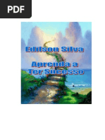 Aprenda a Ter Sucesso
