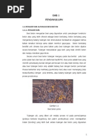 Download Fungsi Besi Beton by Meti Yana SN207149964 doc pdf