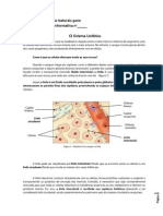 FichaInfornº___ Sistema linfáticoCN9