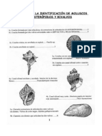 CLAVES PARA LA IDENTIFICACIÓN DE MOLUSCOS GASTERÓPODOS Y BIVALVOS