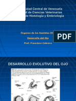 06 - 42 y 43 Desarrollo Ojo y Oído