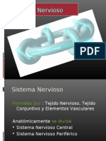 sistema nervioso-1