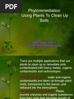 Download Phytoremediation Using Plants to Clean Up Soils by jamal SN20719059 doc pdf
