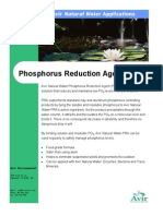 Phosphorus RA