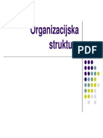 Organizacijska Struktura