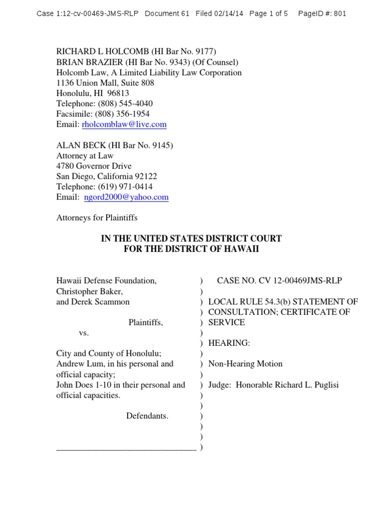 Statement of Consultation Attorney Fees PDF Attorney's Fee Lawyer