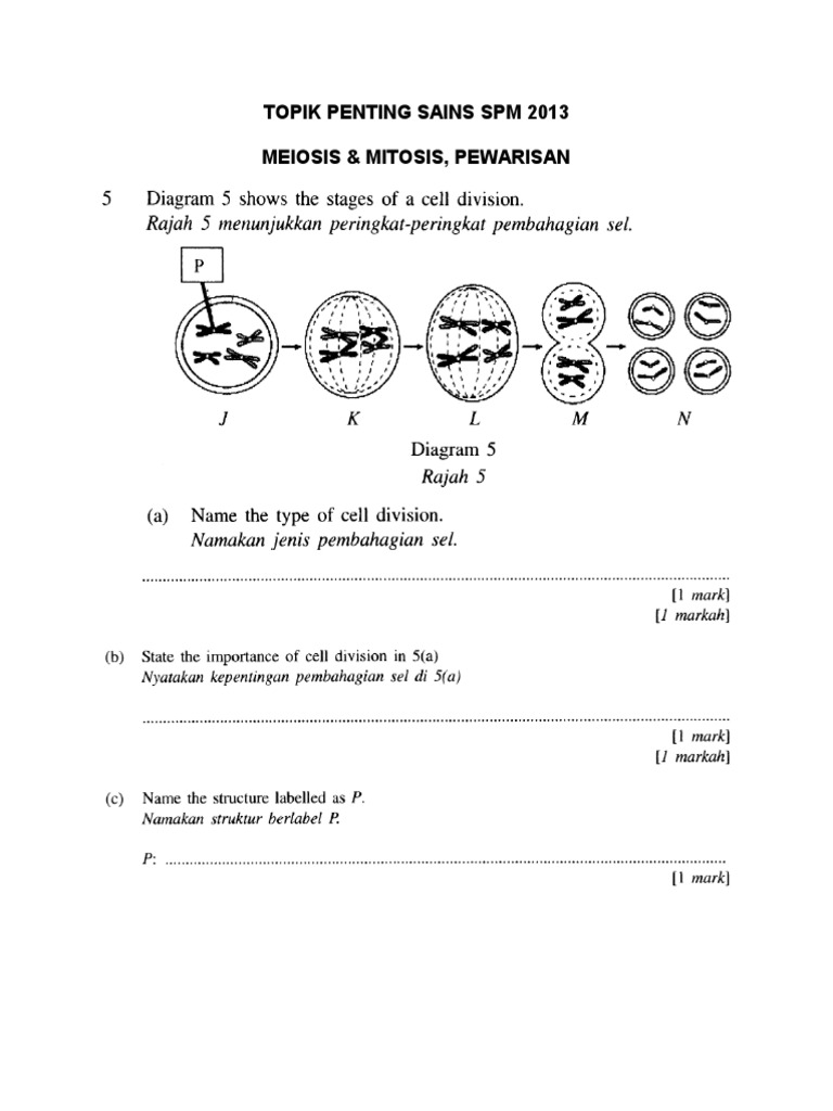 Latihan Meiosis Pewarisan