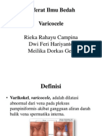 REFERAT BEDAH Varikokel