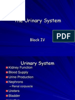 Materi Urinary System