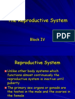 The Reproductive System - Link