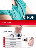 Spina Bifida Fix