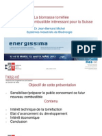 Bois Torréfié-Energissima 2013.pdf