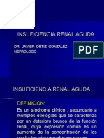 Insuficiencia Renal Aguda