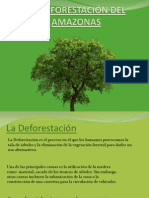 La Deforestacin Del Amazonas