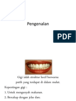 Pengenalan Gigi