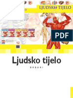 Ljudsko Tijelo - Organi