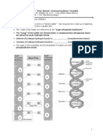 dna  dna replication