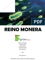 REINO MONERA Portfólio PDF