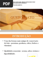 queijo pratopdf