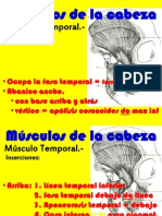 Musculosdelamasticacion 130804144919 Phpapp01