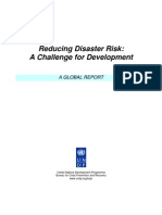 UNDP Reducing Disaster Risk