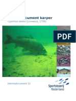 Kennisdocument Karper