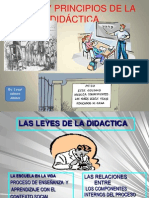 Leyes y Principios de La Didactica