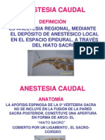 Anestesia Caudal