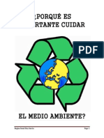 Porqué Es Importante Cuidar El Medio Ambiente