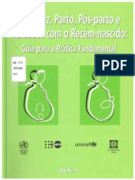 Guia para cuidados integrados na gravidez, parto e pós-parto