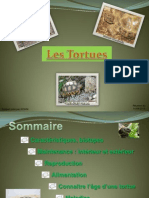 Les Tortues.pdf