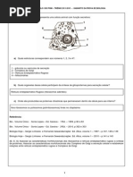 Biologia - gabarito