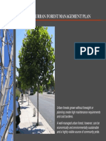 El Cerrito Urban Forest Management Plan